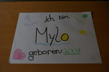 Mylo_Schild